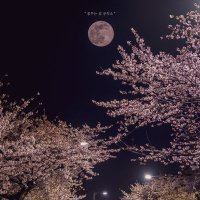 📦 (@areumdaworld_) 's Twitter Profile