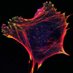 Scita_Lab (@scita_lab) Twitter profile photo Scita_Lab (@scita_lab) Twitter profile photo