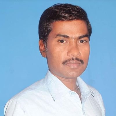 राजनीतिक विश्लेषक,