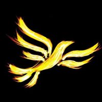 Bridgwater, Highbridge & Burnham Lib Dems (@bhblibdems) 's Twitter Profile