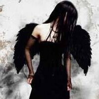 rebbeccacook (@rebbeccacook) 's Twitter Profile
