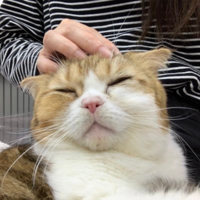 ellenさんのプロフィール画像