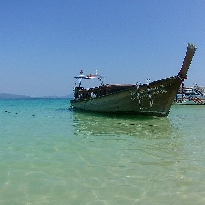 javi95lol's profile picture. 