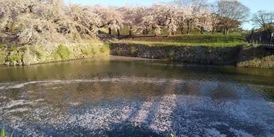 UBQobq0KRVW0BQE's profile picture. 