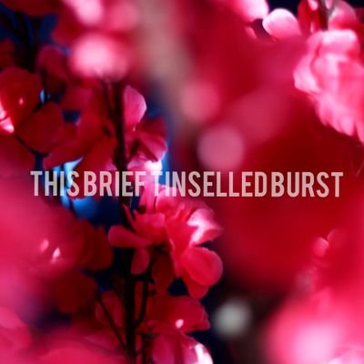 This brief tinselled burst is a mini podcast where I compose micro songs about the mundane everyday things. #stayhome. 
NEW episode out every Wednesday