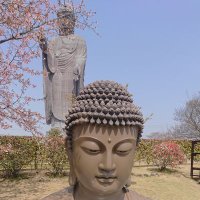 ぽっぽ88式 (@meisaibozu34) 's Twitter Profile Photo