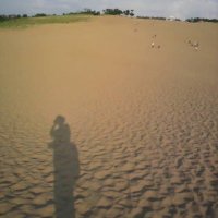wdstk_2 (@wdstk_2) 's Twitter Profile