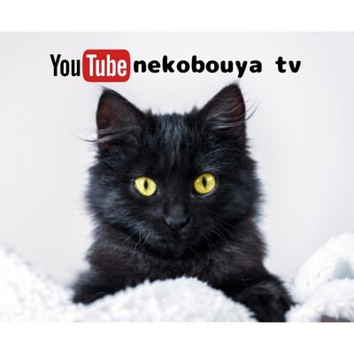 We deliver a video of kittens on YouTube🐈🐾

If you like, please register for the channel🔽