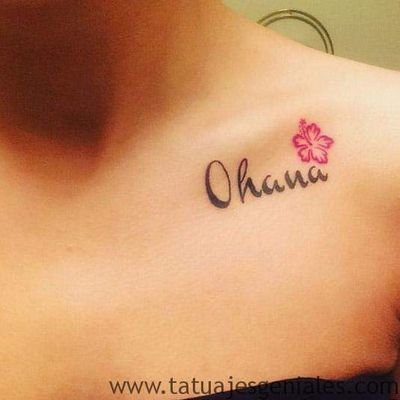 Gypsy at heart. 🐝 kind. 🐝 useful. Pray daily. Do random acts of kindness. We are all Ohana 🌺