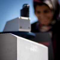 Nasrin Pak (@nasrinpak) 's Twitter Profile