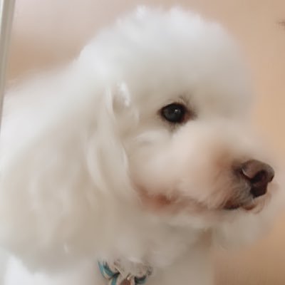reinaさんのプロフィール画像