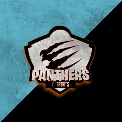 nosso insta: @TeamPantherst
Somos uma equipe em busca do crescimento.
Estamos a procura de novos membros para a guilda! Para meninos e meninas
#GoPanthers🐾🎮