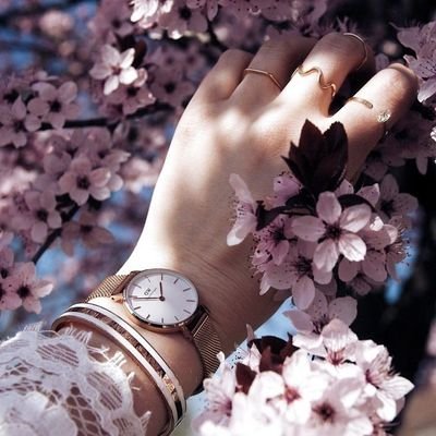 baluch_mahnoor's profile picture. Member of Baloch Social Media Activist (BSMA)