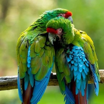 Kumarrajeev_14's profile picture. 