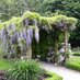 FriendsofGreenbankpark (@fgreenbankpark) Twitter profile photo FriendsofGreenbankpark (@fgreenbankpark) Twitter profile photo