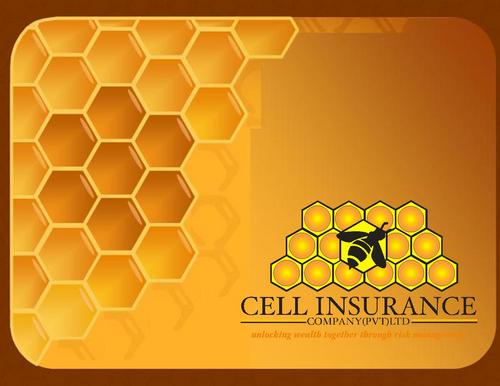 cellinsurance's profile picture. Unlocking wealth together through risk management