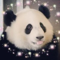 ちえっし~♪ (@chiehin) 's Twitter Profile