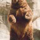 Greg Pierce - @realGregPierce - Twitter