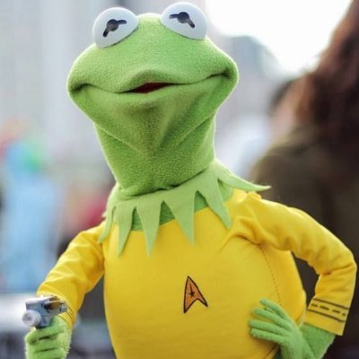 TomCasull's profile picture. 