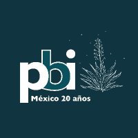 Peace Brigades International-México(@PBI_Mexico) 's Twitter Profile Photo