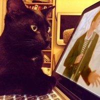 PicPedant (@picpedant) 's Twitter Profile