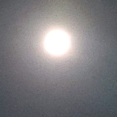 gEfP5kNFJsMhK3f's profile picture. 基本的にはお友達のいいね♡RTをするだけの垢です。