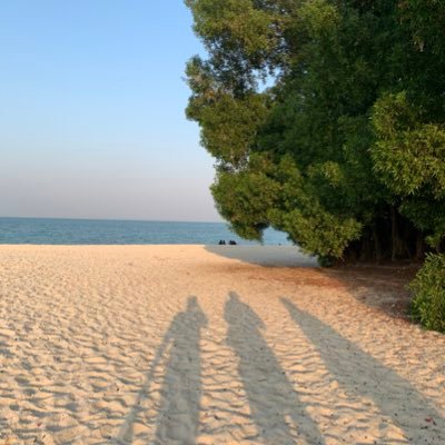 javedmb's profile picture. 