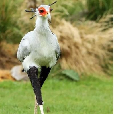 KylaHutchins3's profile picture. 