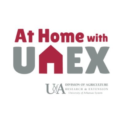 AtHomewithUAEX Profile Picture