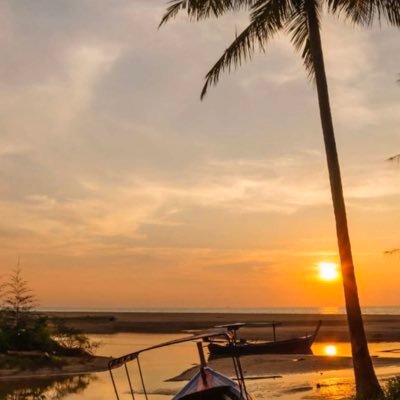 1nrhGV7ZPryP5rp's profile picture. 