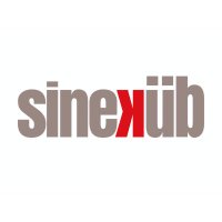 sineküb (@sinekub_) Twitter profile photo