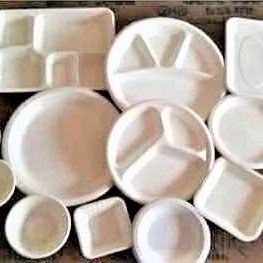 GreeniverseL's profile picture. We are manufacturers of bio-degradable leaf plates from Natural leaf(Areca Sheath).