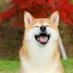 test39 (@test5651719003) Twitter profile photo test39 (@test5651719003) Twitter profile photo