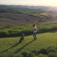 Thomas Radulesco (@radulescothomas) 's Twitter Profile