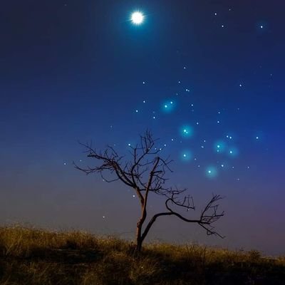 Life is... the special occasion you have always wanted to share.
We are the ones we have been waiting for.
The other person is you.💓
👁️I don't dm.