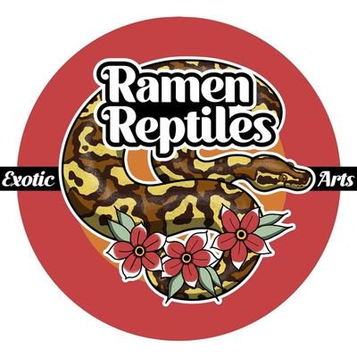 Here for all your noodle needs! Handmade reptile and other creepy crawly sculptures. Personal account @RamenReptile