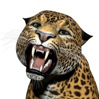 Global "Marxism" is humanity's greatest enemy. (@animal_graphics) 's Twitter Profile