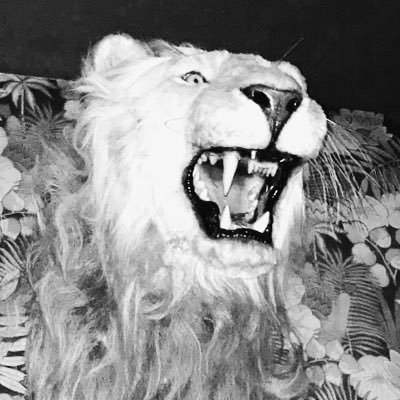 nickbockrath's profile picture. Guitarist : Cage The Elephant