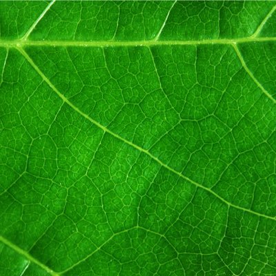 _alexpradap's profile picture. 