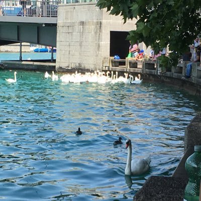 Eagle________'s profile picture. 