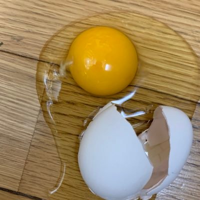 miraiwaharehare's profile picture. 