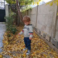 Hilal Yıldız (@hilalzeng) 's Twitter Profile