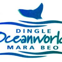 Oceanworld Aquarium(@dingleaquarium) 's Twitter Profile Photo