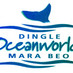 Oceanworld Aquarium (@dingleaquarium) Twitter profile photo Oceanworld Aquarium (@dingleaquarium) Twitter profile photo