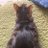 猫ちゃんは癒しですのアイコン