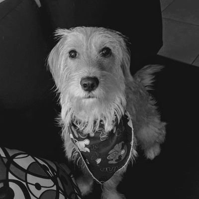 softAlana's profile picture. 