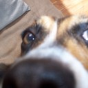 Ruby Schwartz - @rubyroobutt - Twitter