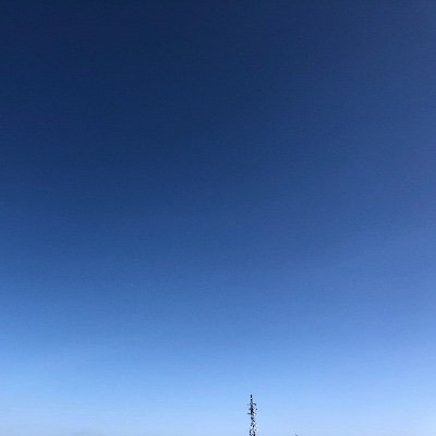 unpocopiumosso's profile picture. ちんたらやってます。