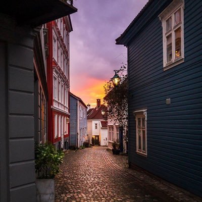 tawandamtombeni's profile picture. follow your bliss🤓