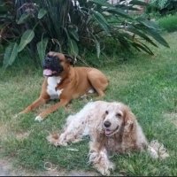 Alejandra (@mamanina736) 's Twitter Profile